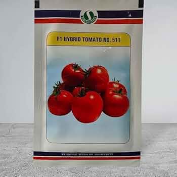 tomato2枚セット 51BG+t4qQLL._UF350,350_QL50_.jpg